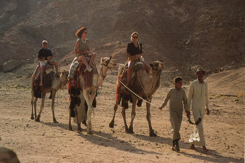 Sunset Camel riding excursion in Sharm El-Sheikh