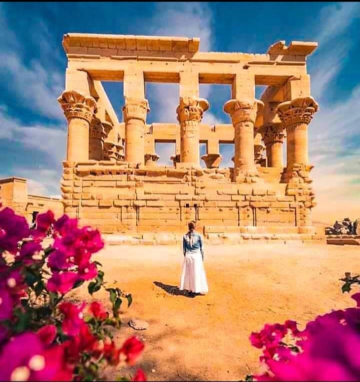 Travel Offer to Egypt 2024