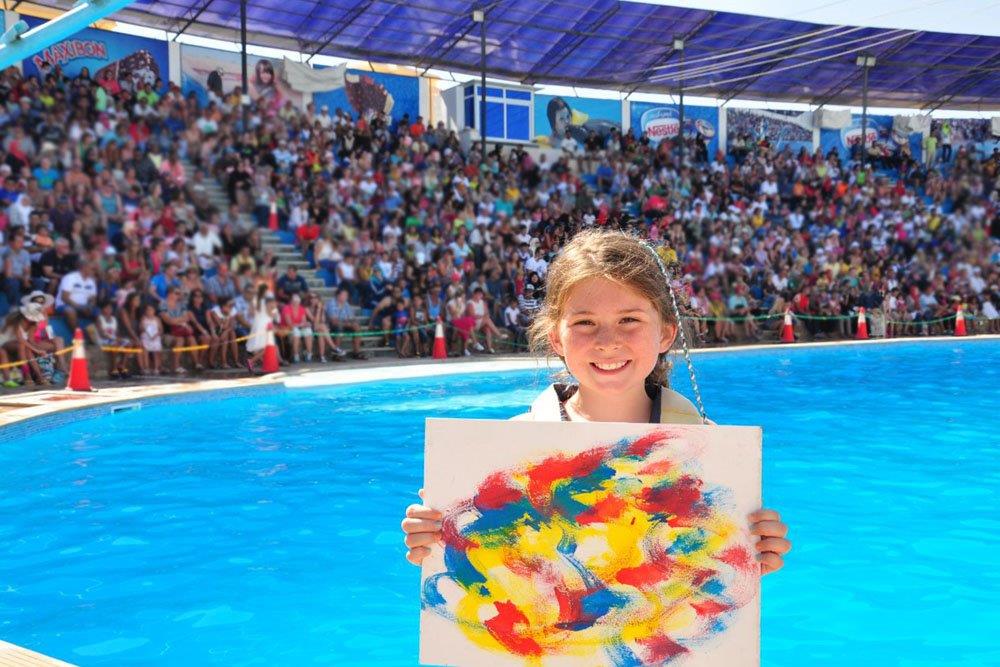 Dolphin Show in Sharm El sheikh