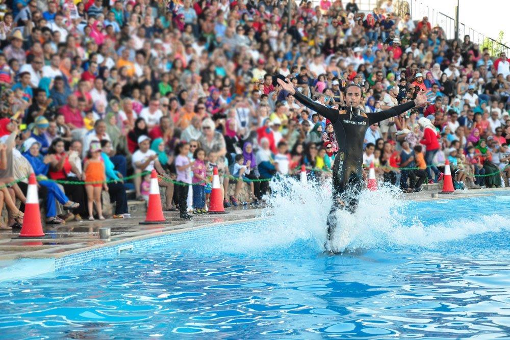 Dolphin Show in Sharm El sheikh